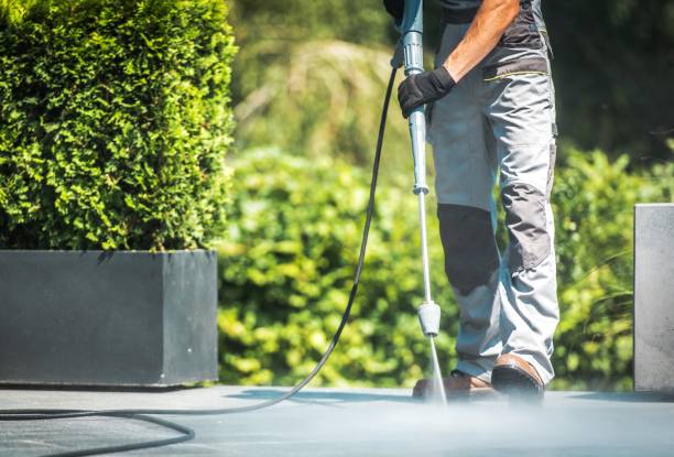 Best Animal Enclosure Cleaning  in Island Walk, FL