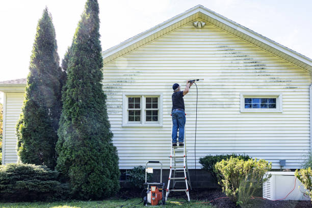 Best Driveway Pressure Washing  in Island Walk, FL